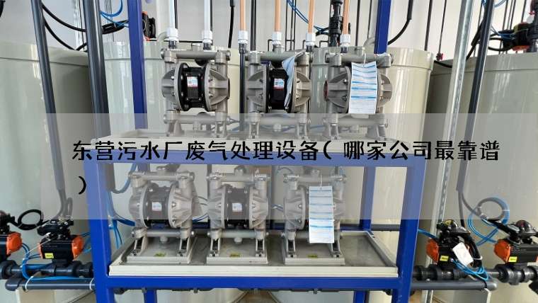 东营污水厂废气处理设备(哪家公司最靠谱)