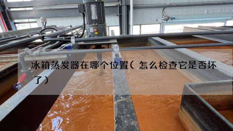 冰箱蒸发器在哪个位置(怎么检查它是否坏了)