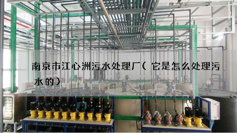 南京市江心洲污水处理厂(它是怎么处理污水的)