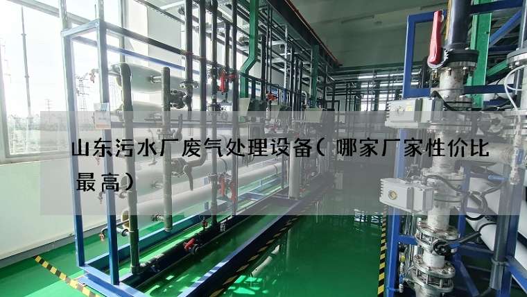 山东污水厂废气处理设备(哪家厂家性价比最高)