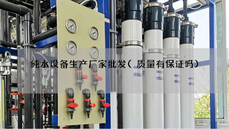 纯水设备生产厂家批发(质量有保证吗)